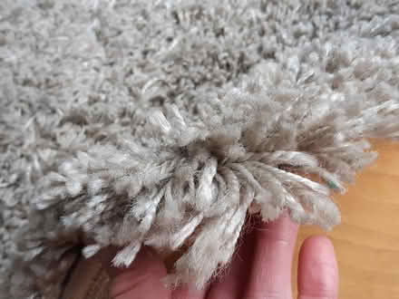 Photo of free Dunelm rug (Kidlington) #2