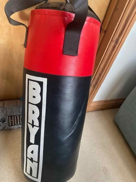 Photo of free Punchbag (Ducklington OX29) #1