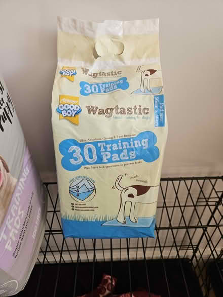 Photo of free Puppy training pads (ST2) #1