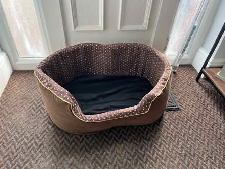 Photo of free Medium size dog bed -no cushion (Hillmorton CV22) #1