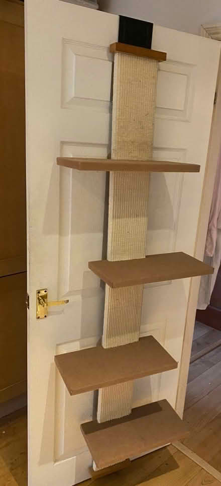 Photo of free Cat tree full door length (Backwell (Backwell (BS48)) #1