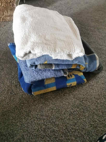 Photo of free Old towels (Stanwell TW19) #1