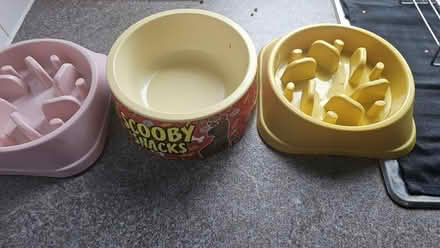 Photo of free Dog bowls (Bampton, OX18) #1