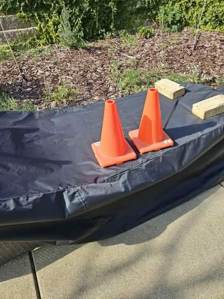Photo of free Orange Cones (Livermore) #1