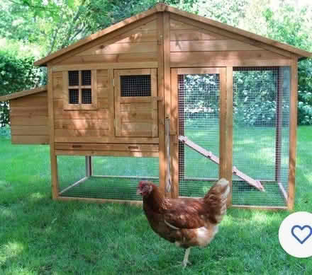 Photo of Chicken coop (CH63 bebington wirral) #1