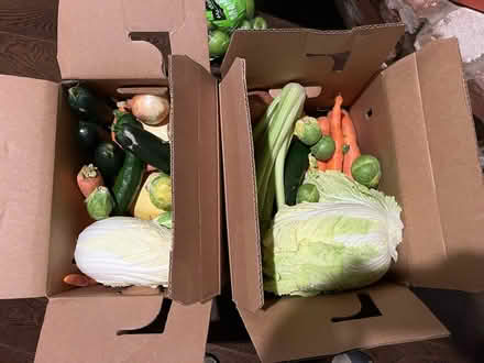 Photo of free Two boxes of vegetables (94022) #1