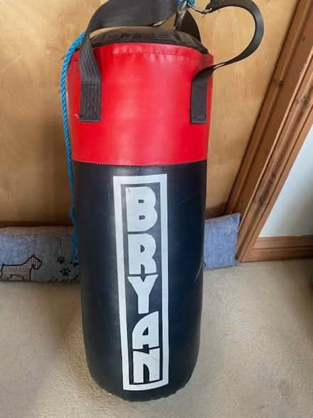 Photo of free Punchbag (Ducklington OX29) #2