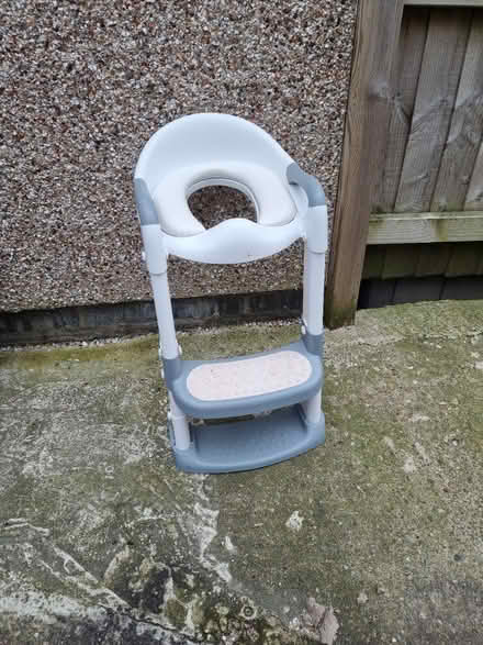 Photo of free Toilet training seat (Bebington) #1