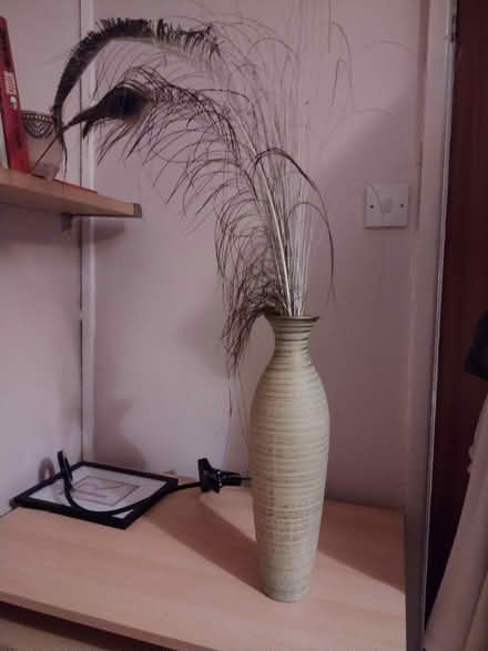Photo of free Tall vase (Levenshulme M19) #1