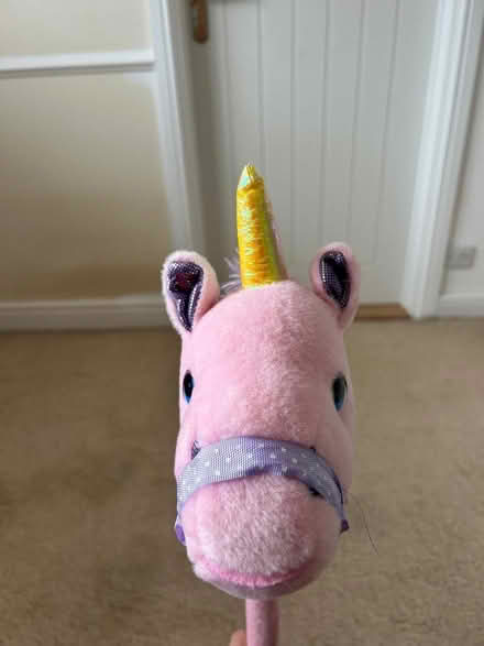 Photo of free Unicorn hobby horse (Waterlooville PO8) #2