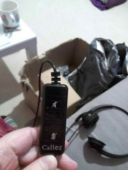 Photo of free Computer earphones (Newtown CH1) #2