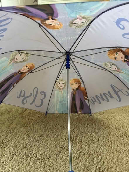 Photo of free Kids Frozen umbrella (Waterlooville PO8) #1