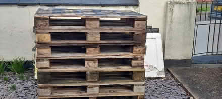 Photo of free Used Wooden Pallets (Shelton Lock DE24) #1