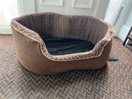 Photo of free Medium size dog bed -no cushion (Hillmorton CV22) #2