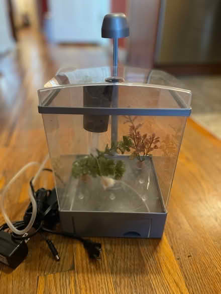 Photo of free Small fish tank (Clinton Hill) #1