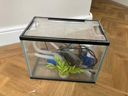Photo of free Small fish tank and accessories (Caversham Heights RG4) #1