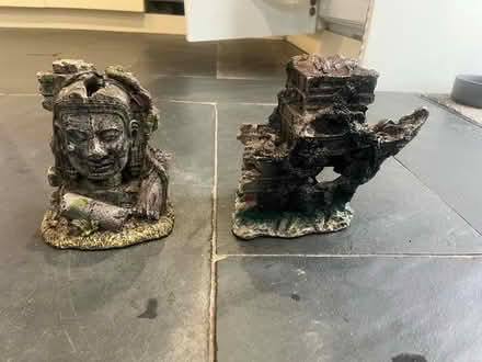 Photo of free Tropical fish bits (Alton, Hants) #1