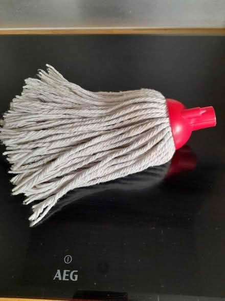 Photo of free Mop head (Glenburn paisley PA2) #1