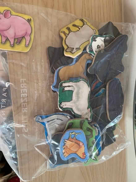 Photo of free Animal magnets (Battlefield, Glasgow) #1