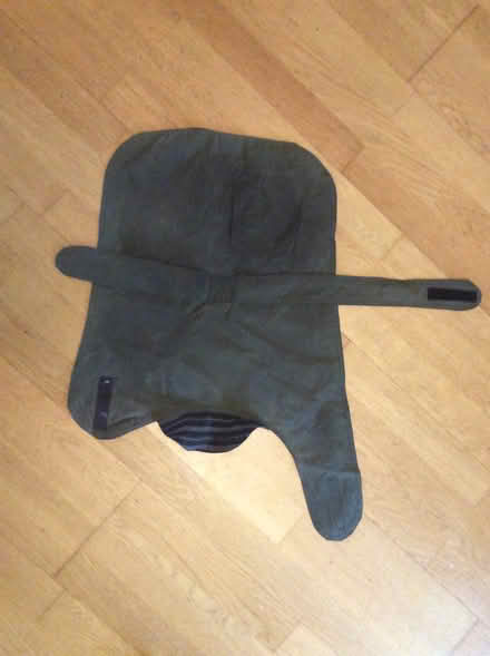 Photo of free Dog Coat (Wivenhoe CO7) #1