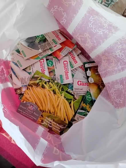 Photo of free Bag of veg seeds (Silverhill Park TN34) #1