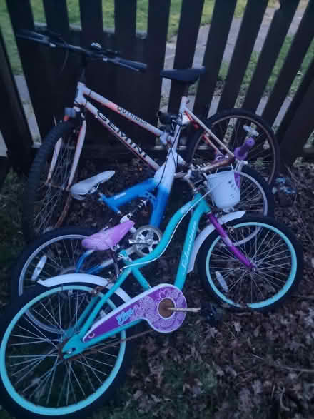 Photo of free 3 bikes (Arrochar G83) #1