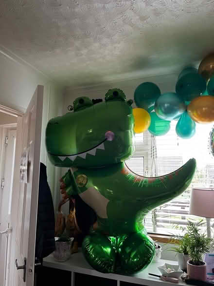 Photo of free Birthday decorations (Hastings) #1