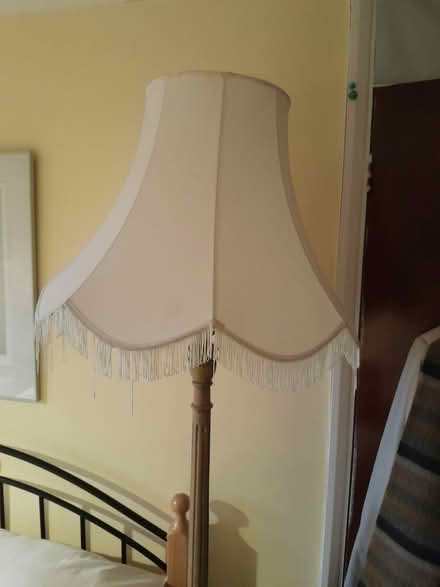 Photo of free Lampshade for standard lamp (Chelmsford CM2) #1