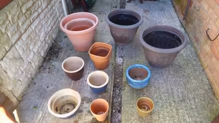 Photo of free Plant pots - found lots more (Creigiau Rhiwledyn LL30) #2