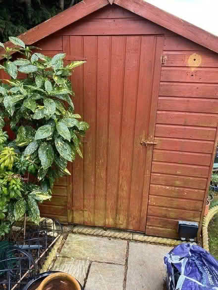 Photo of free 8 foot x 6 foot shed (Chipping Sodbury) #1