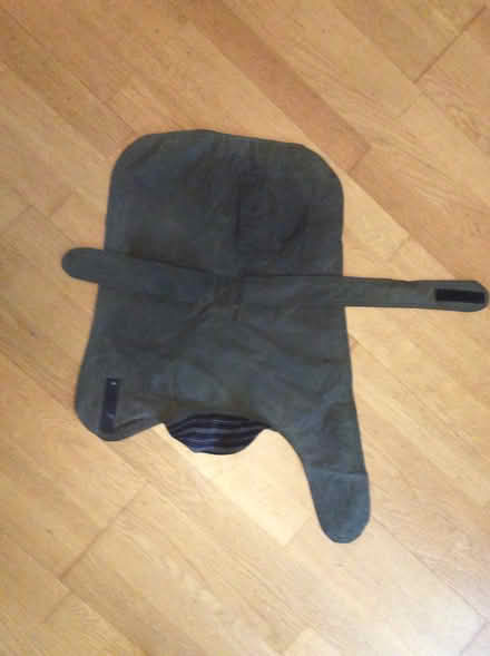 Photo of free Dog Coat (Wivenhoe CO7) #2