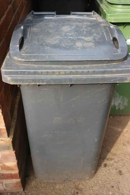 Photo of free black wheelie bin (Halton LS15) #1