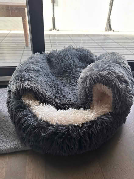 Photo of free Cat bed (Yonge and Eglinton) #1