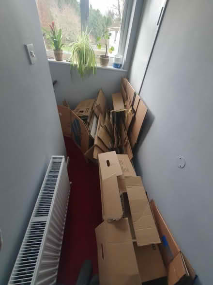 Photo of free Packing/cardboard boxes (SM7 2) #1