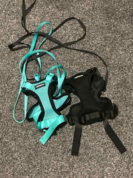 Photo of free 2 Kitten harnesses (Camberwell, SE5) #2