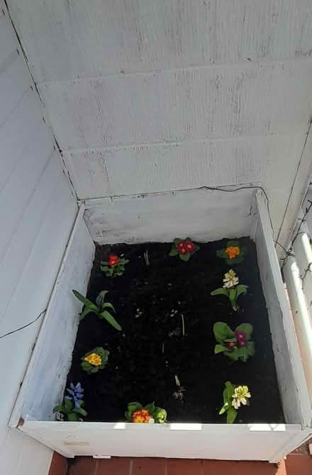 Photo of free top soil keeping plants (Bath BA1) #1