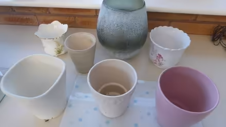 Photo of free Plant pots - found lots more (Creigiau Rhiwledyn LL30) #3