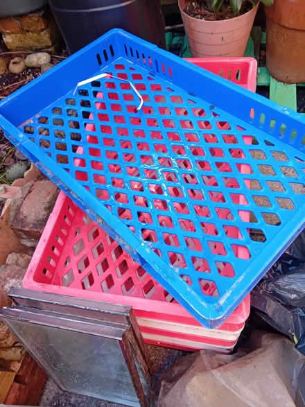 Photo of free 6 large storage trays.plastic (BH26bd) #1