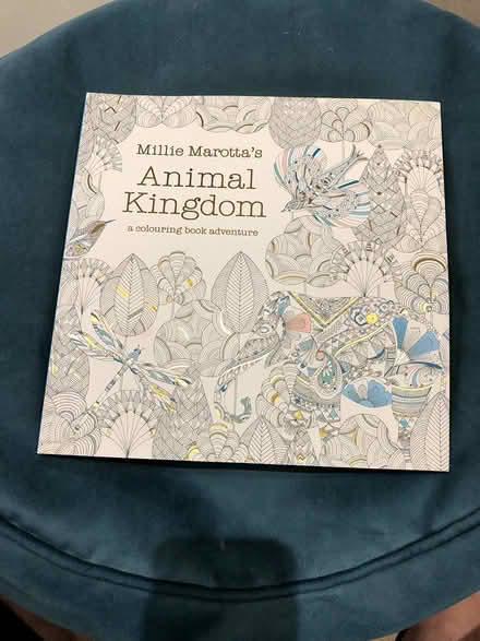 Photo of free Colouring Book (SK7) #3