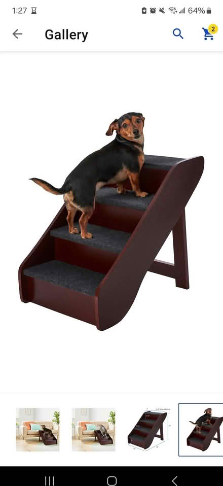 Photo of Pet stairs - dog stairs (Glendale) #2