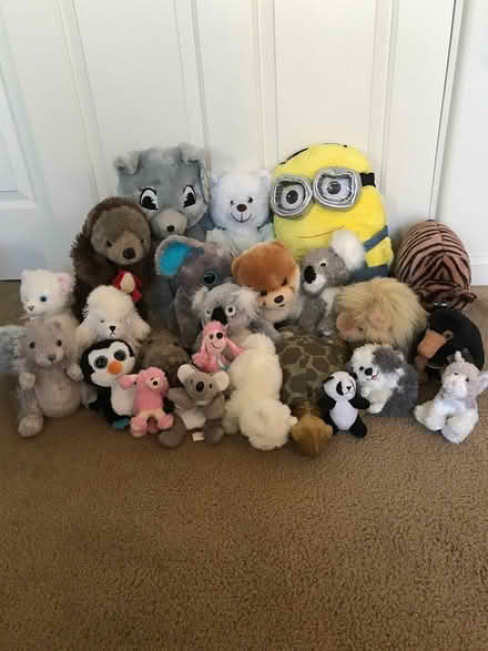 Photo of free Stuffed Animals New Condition (Petaluma) #1