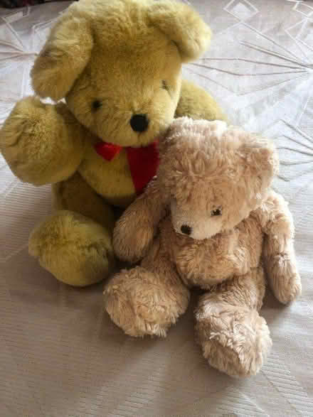 Photo of free 2 Teddies (Chiswick Park Station) #2
