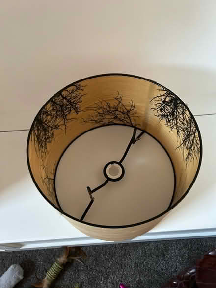 Photo of free 2 large lampshade (Newington Green, Islington) #3