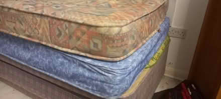 Photo of free Single mattress x 2 (Pinehurst SN25) #2