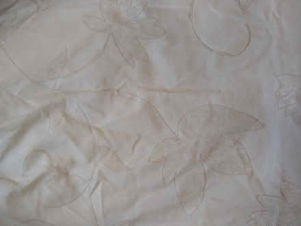 Photo of free 3 curtains (bedford) #3