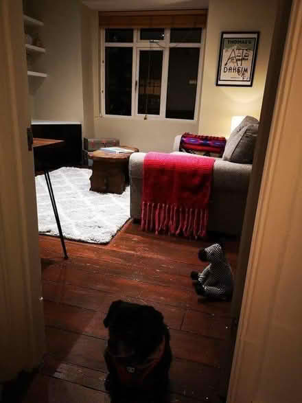 Photo of free 2 seater sofa (Forest Hill) #2