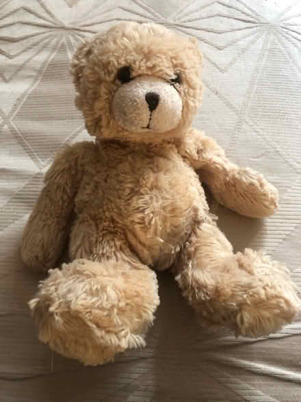 Photo of free 2 Teddies (Chiswick Park Station) #1