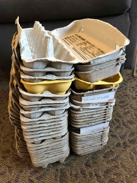 Photo of free egg cartons (Cerrillos & St. Francis) #1