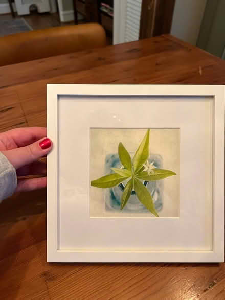 Photo of free Framed print (Near Henderson High School) #1