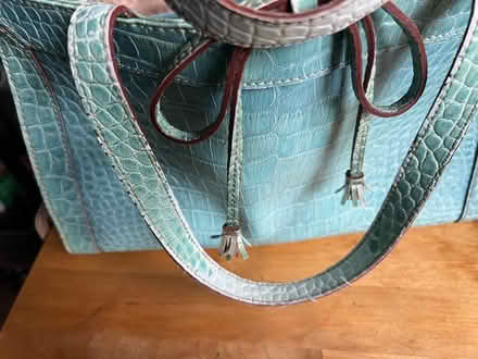 Photo of free Faux alligator bag (Sylmar) #3